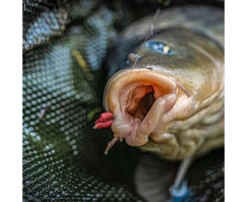 KORUM Allrounder Supersteel Eyed - Barbed (10pcs) -Korum korum allrounder supersteel eyed barbed 10pcs 2