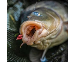 KORUM Grappler Supersteel Eyed - Barbed (10pcs) -Korum korum grappler supersteel eyed barbed 10pcs 1